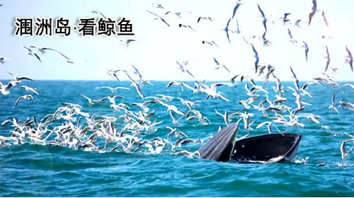 廈門到北海旅游團價格_路線